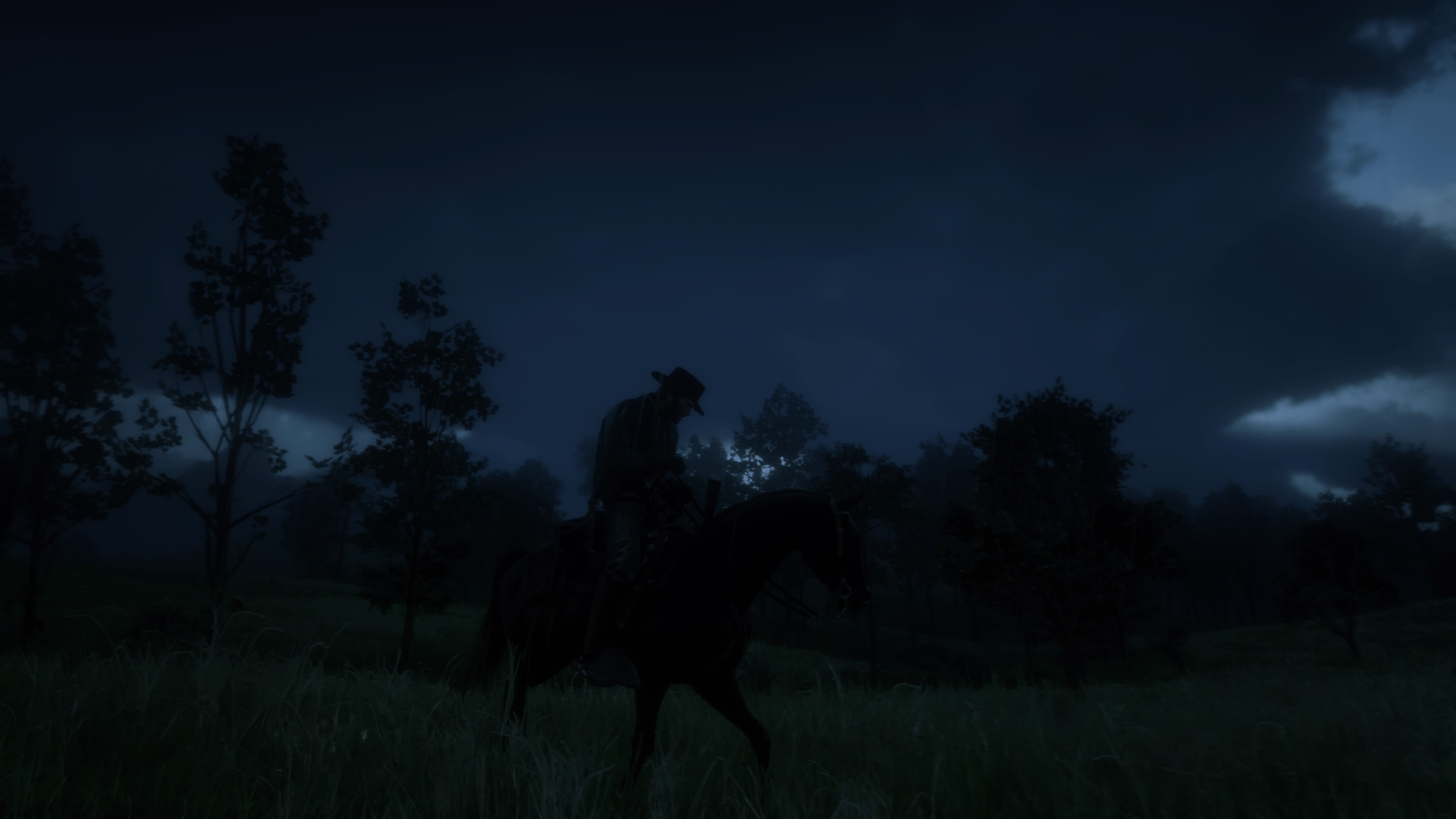 Red Dead Redemption 2_20190108224035