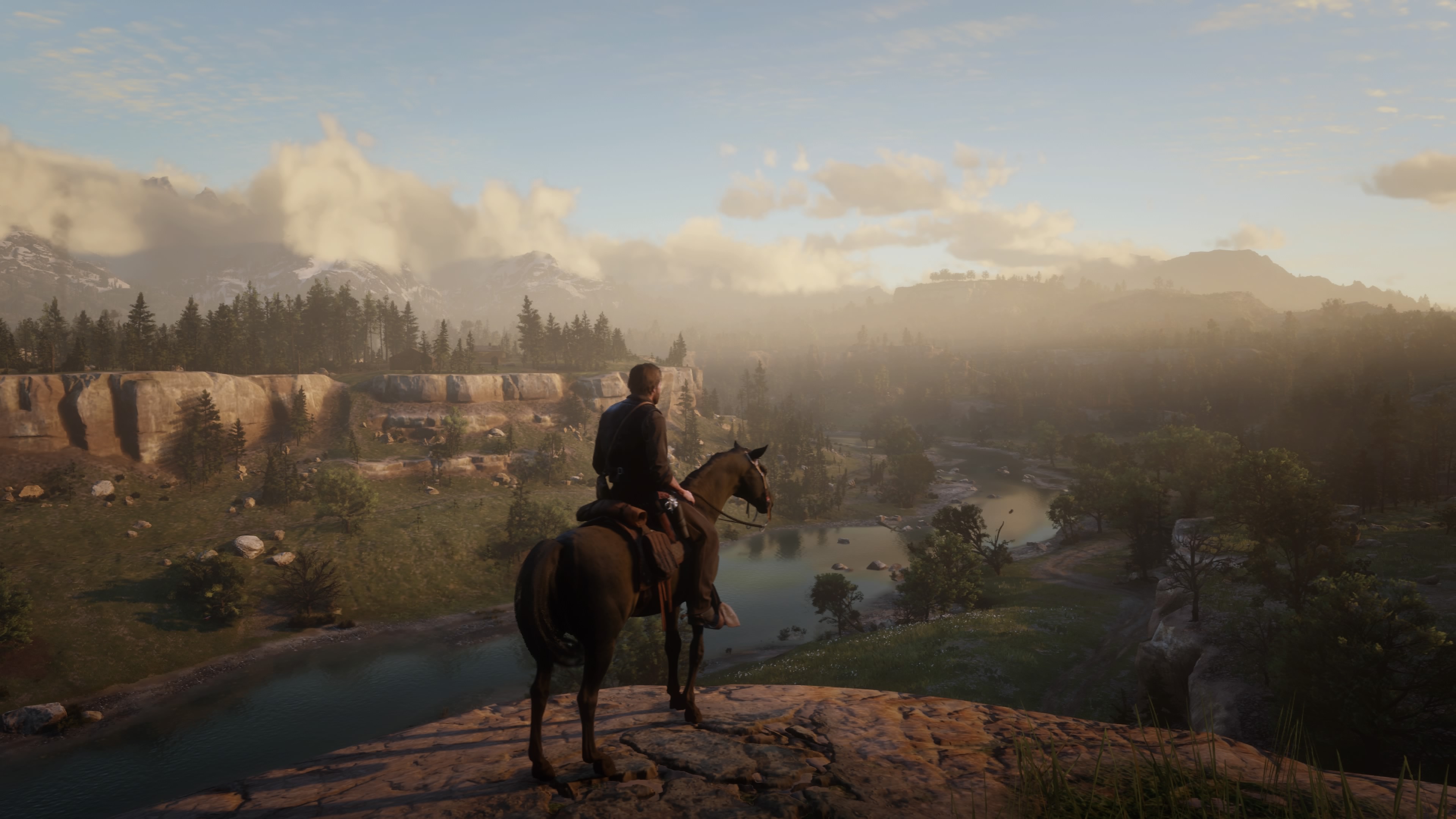Red Dead Redemption 2_20190109200252