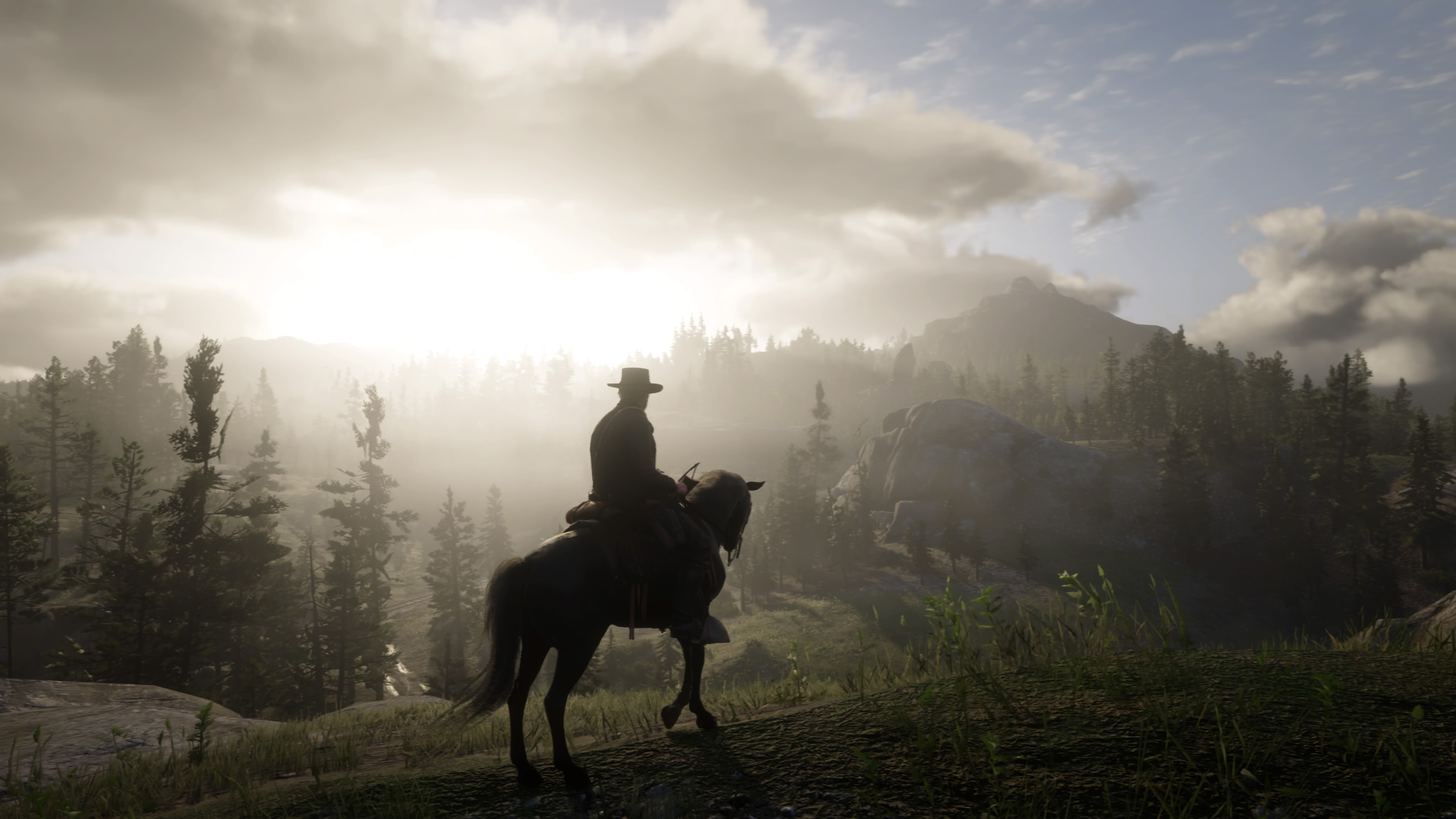 Red Dead Redemption 2_20190110231712