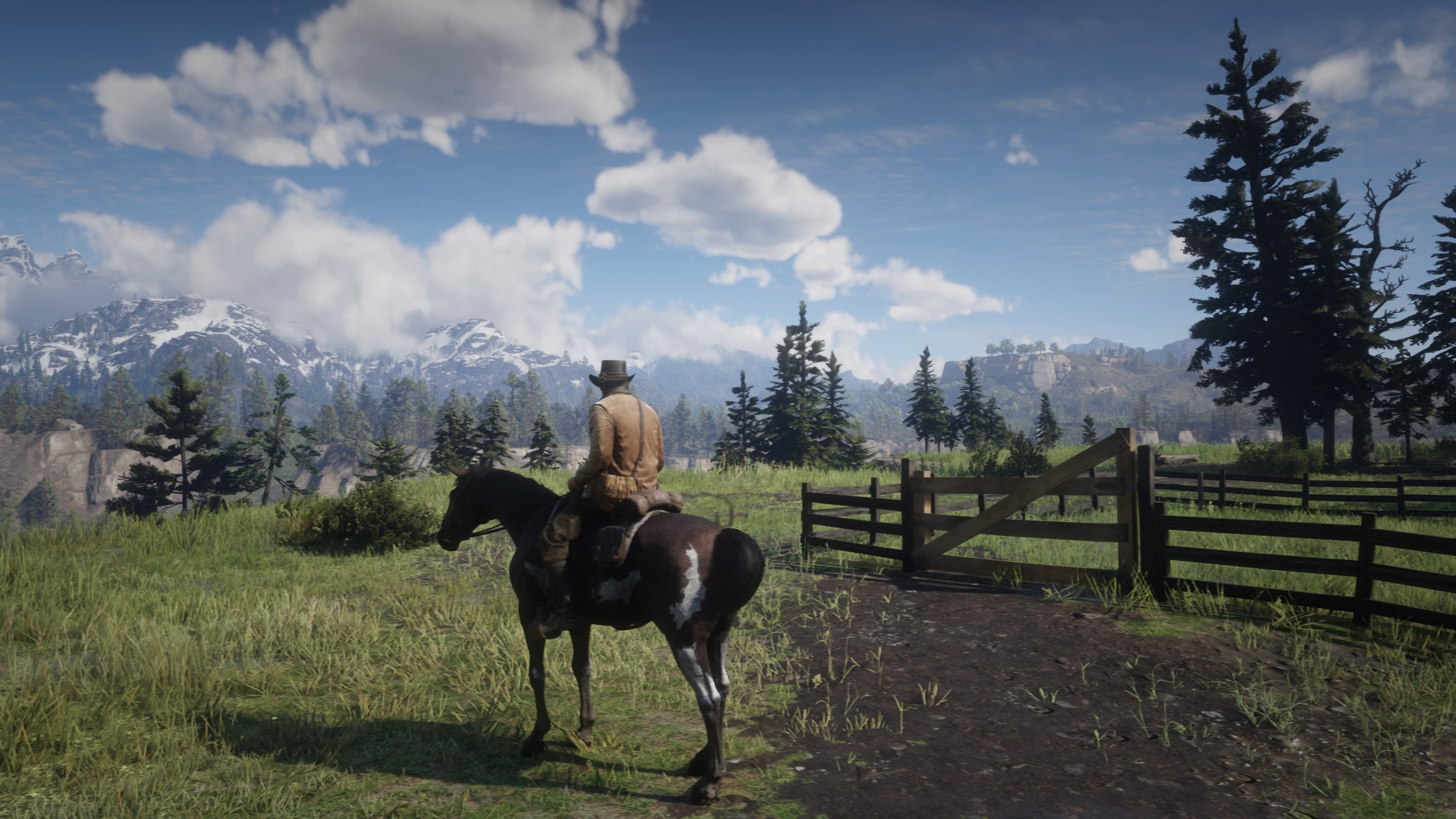 Red Dead Redemption 2_20181219213714