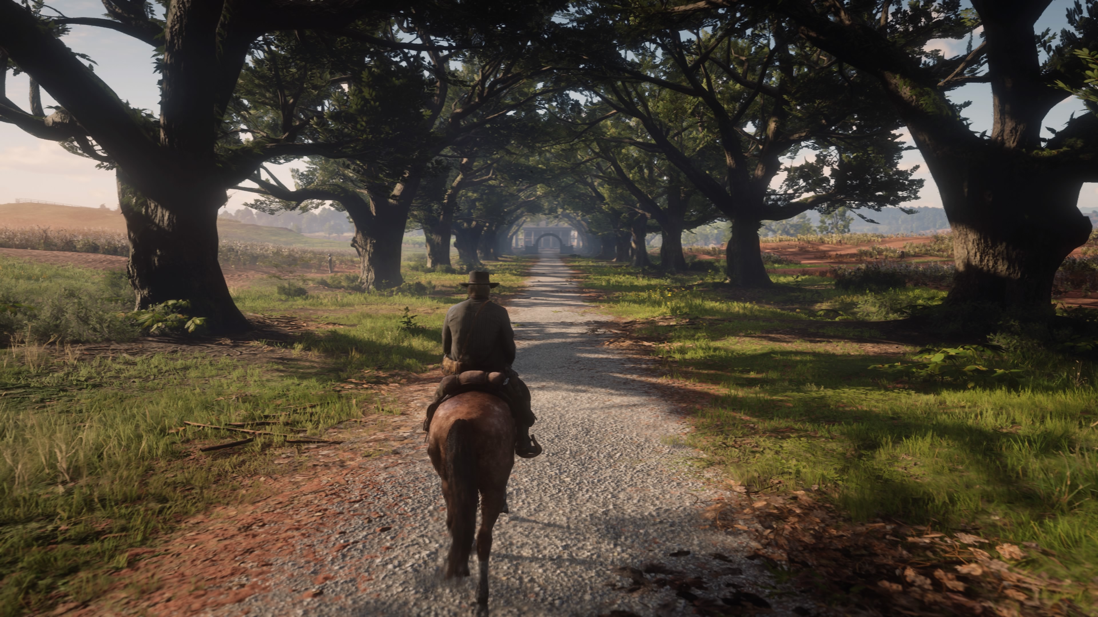 Red Dead Redemption 2_20181231135258