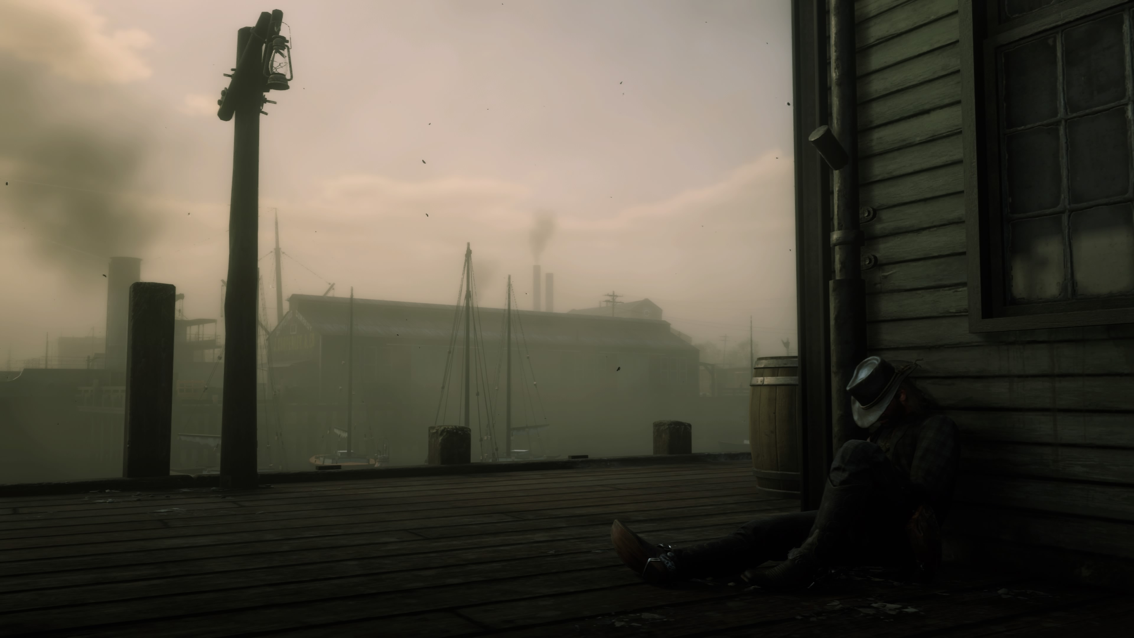 Red Dead Redemption 2_20190101113805