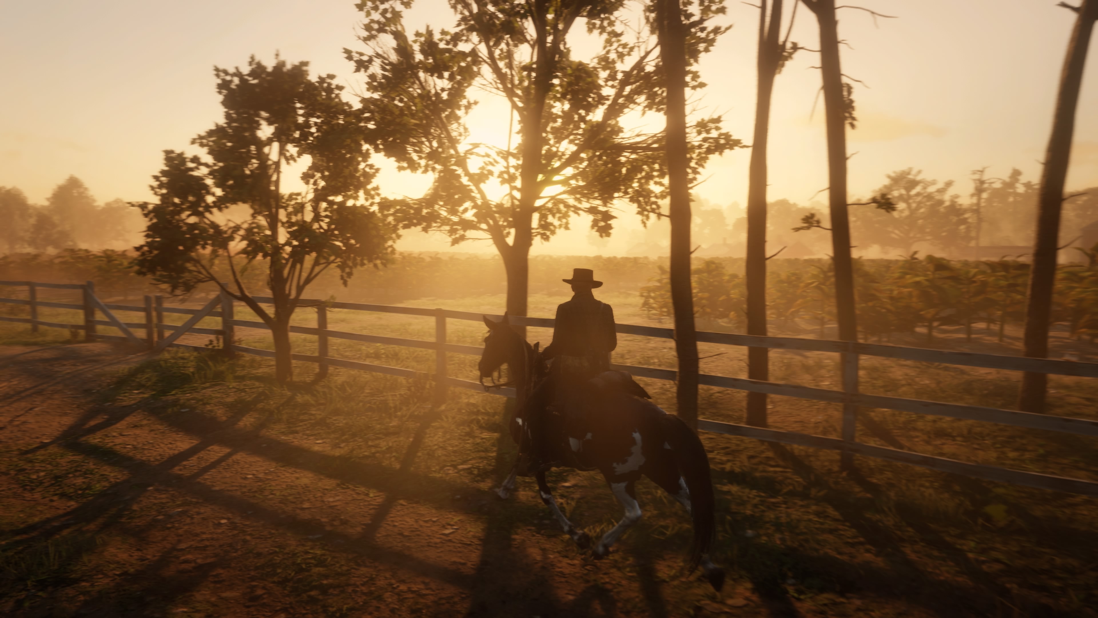 Red Dead Redemption 2_20190105125814