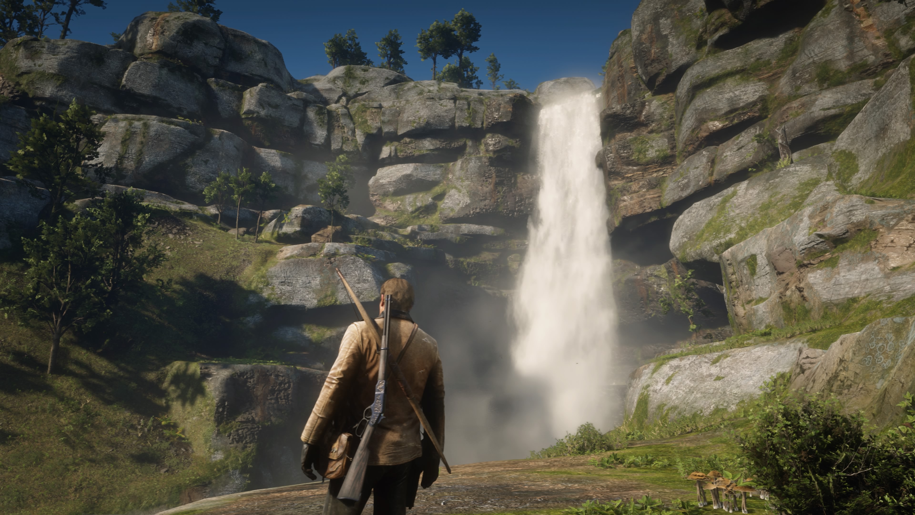 Red Dead Redemption 2_20190105174859