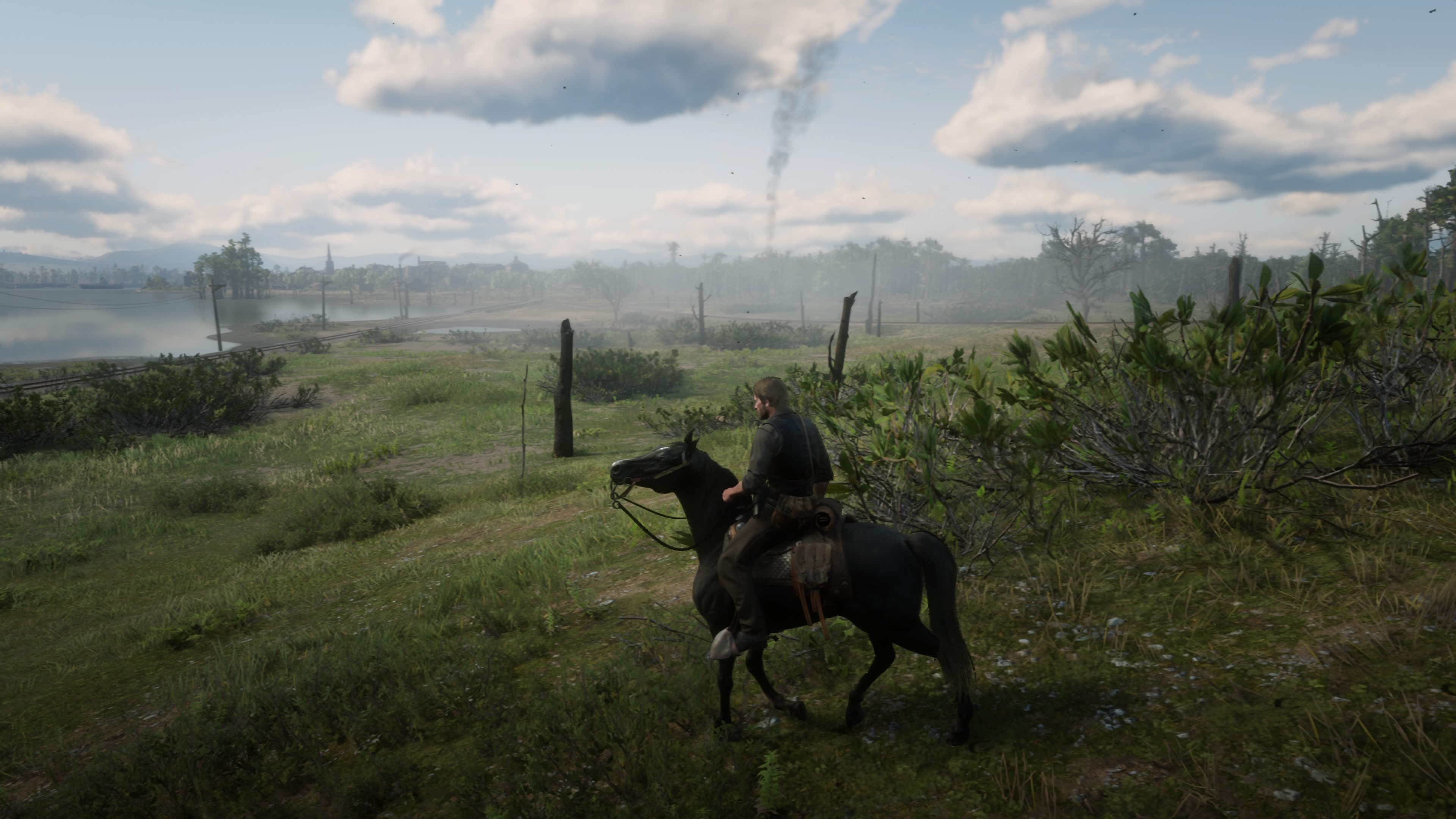 Red Dead Redemption 2_20190108231127